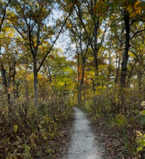 Danada Forest Preserve Picture Danada Forest Preserve Picture